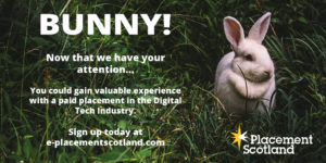 Bunny! Now that we have your attention...